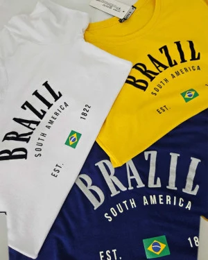 Brazil south america